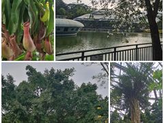 -中国科学院华南植物园