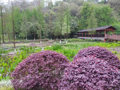 -重庆彩云湖湿地公园