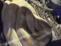 -贵州森林野生动物园