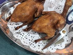 -石岐乳鸽村(南海第三分店)