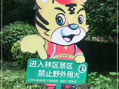 -云碧峰国家森林公园