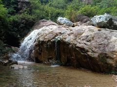 -南海湾森林生态园