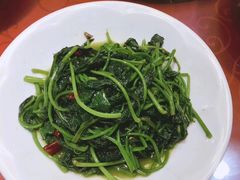 清炒红薯叶-董厨煨汤馆(车站路店)