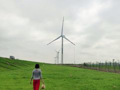 -南汇嘴观海公园