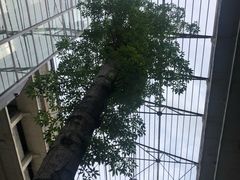 -广州市紫泥堂文化创意园景区