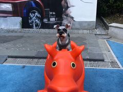 -上海崇明金茂凯悦酒店