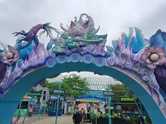 -海合安武汉极地海洋公园
