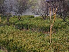 -山湖温泉