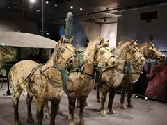 -秦始皇帝陵博物院-丽山园