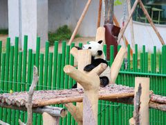 -沈阳森林动物园