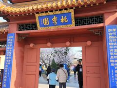 -桃花堤公园