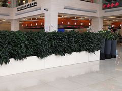 -浦东市民中心-停车场