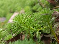 -合肥三国新城遗址公园