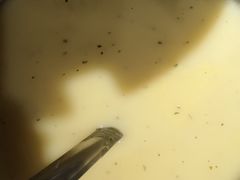 -汤姆家的优质牛排(王府井店)