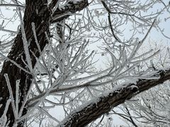 -中旅松花湖滑雪场