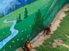 -西霞口神雕山野生动物世界