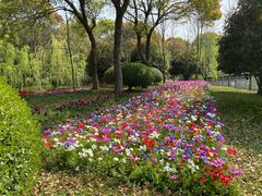 -上海鲜花港