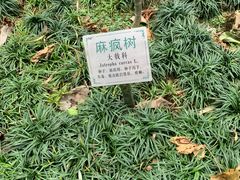 -广州神农草堂中医药博物馆