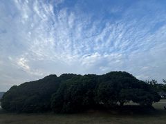 -风云岭森林公园