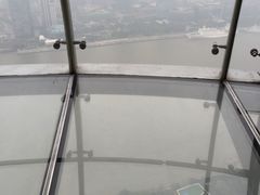 -东方明珠国际旅行社有限公司