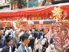 -越秀西湖花市(广州城市广场花卉店)