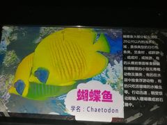 -烟台海昌鲸鲨海洋公园