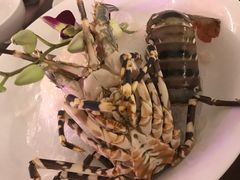 -芽庄MP泰式海鲜海景餐厅