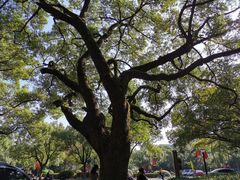 -浙江大学(玉泉校区)