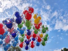 -上海迪士尼度假区