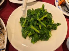 酒香豆苗-老吉士酒家(天平路店)