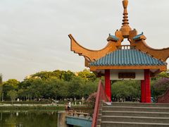 -金砂公园