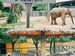 -常州淹城野生动物世界