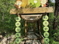-大岭沟猕猴桃谷风景区