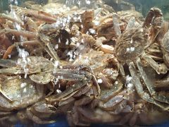 -蟹之国·精品蟹料理(极地店)