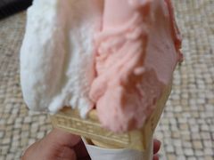 -柠檬车露(卖草地店)