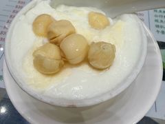 -义顺牛奶公司(新马路老店)