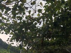 -天地生态农庄