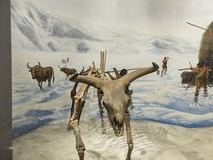 -辽宁古生物博物馆