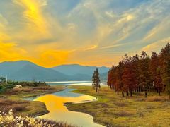 -东钱湖旅游度假区