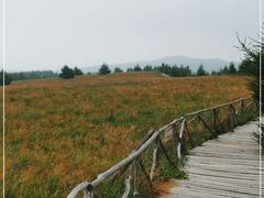 -红崖峡谷景区
