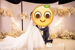 -明典婚礼策划·婚车租赁·婚纱摄影