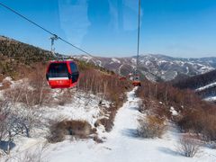 -密苑云顶乐园(云顶滑雪场)