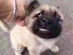 -天津波士信达奔驰4S店(卫津南路店)