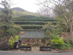 -龙井村