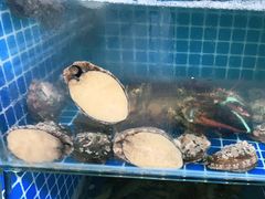 -宾朋海鲜特色美食餐厅·纯手工鲅鱼水饺(兴海路店)