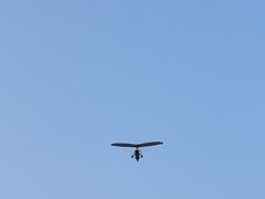 -希拉穆仁草原
