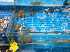 -众彩物流水产市场