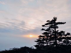 -朱雀国家森林公园