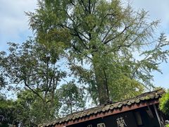 -成都杜甫草堂博物馆