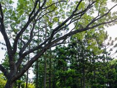 -人民公园(罗湖区)